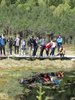 Botanikai megfigyelések a Mohos-lápnál